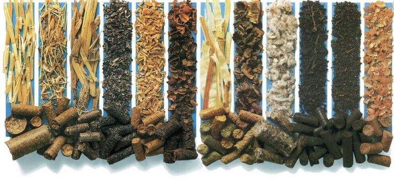 影響生物質(zhì)燃料顆粒設(shè)備出料口因素？
