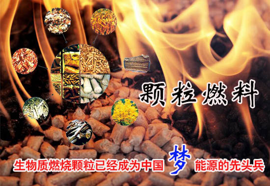 生物質(zhì)燃料顆粒多少錢一噸！