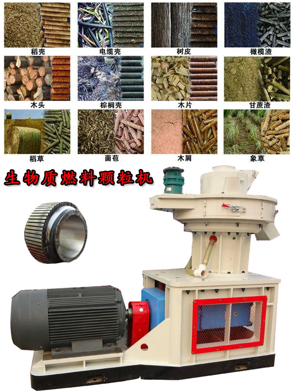 國內(nèi)外生物質(zhì)燃料顆粒機(jī)應(yīng)用現(xiàn)狀的疑問！